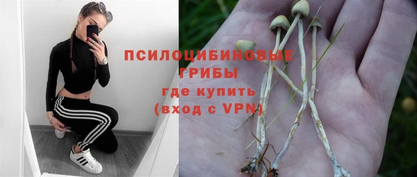 таблы Слюдянка
