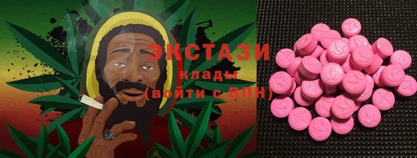 прущие грибы Пыталово